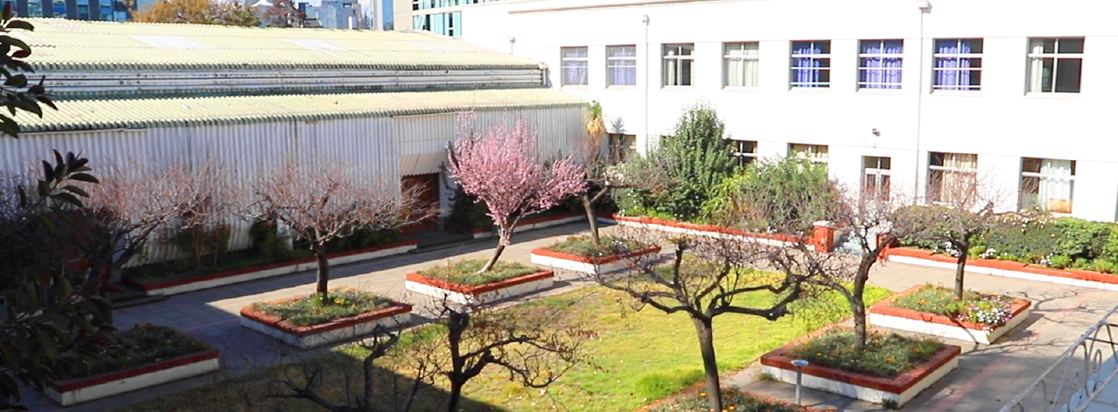 Instituto de Humanidades, Educación y Cultura