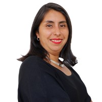 Imagen de la noticia: Estudiantes, docentes e investigadores se capacitaron junto al Núcleo Dolmen en instancia organizada por la DID UGM
