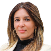 Imagen de la noticia: Estudiantes de Derecho y de la Clínica Jurídica UGM recibieron capacitaciones de la Superintendencia de Insolvencia y Reemprendimiento