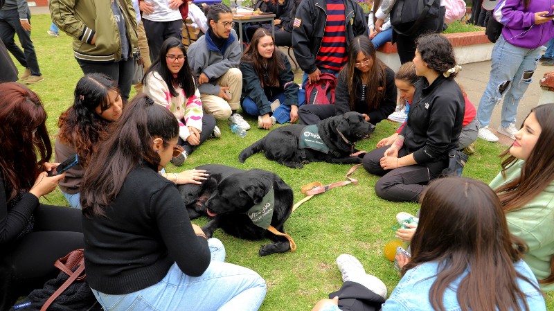 Foto 16 de 17: Universidad Gabriela Mistral celebró el “Día de la Salud Mental y Comunidad de Cuidado UGM”