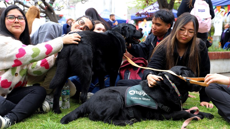 Foto 17 de 17: Universidad Gabriela Mistral celebró el “Día de la Salud Mental y Comunidad de Cuidado UGM”