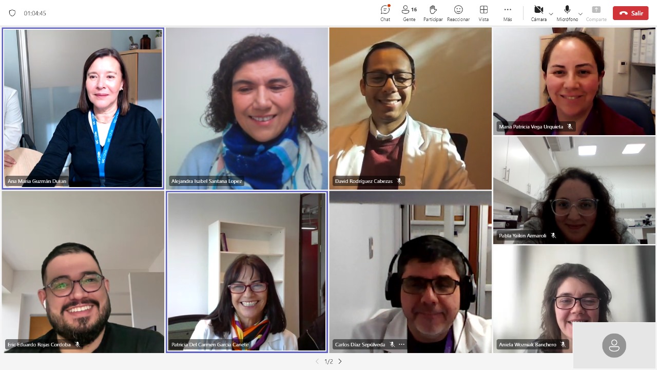 Imagen de la noticia: Académica UGM Alejandra Santana realizó charla online para Medicina UC sobre Ética en la Investigación
