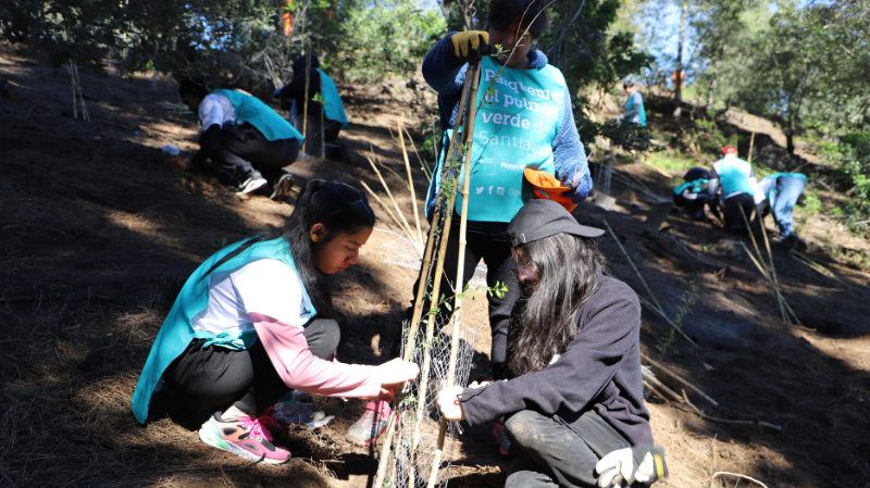 Imagen de la noticia: UGM participa en especial voluntariado de reforestación en el Parque Metropolitano de Santiago