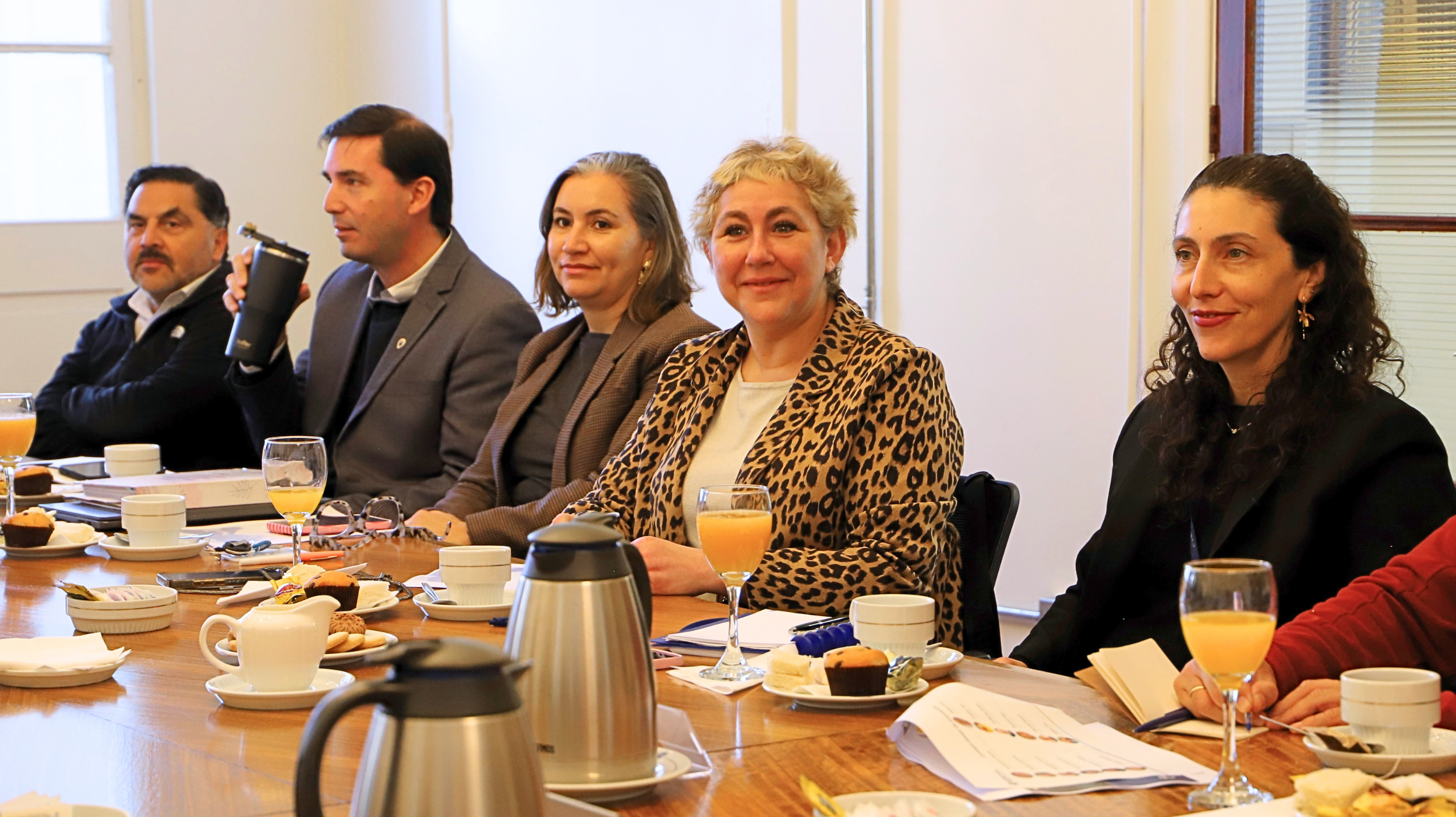 Imagen de la noticia: Consejo Asesor Externo de Innovación UGM aborda desafíos de la formación en Psicología y Derecho